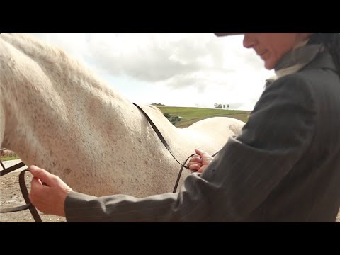 The how and why of classical work in hand