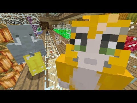 Xasms6dueSE/default.jpg