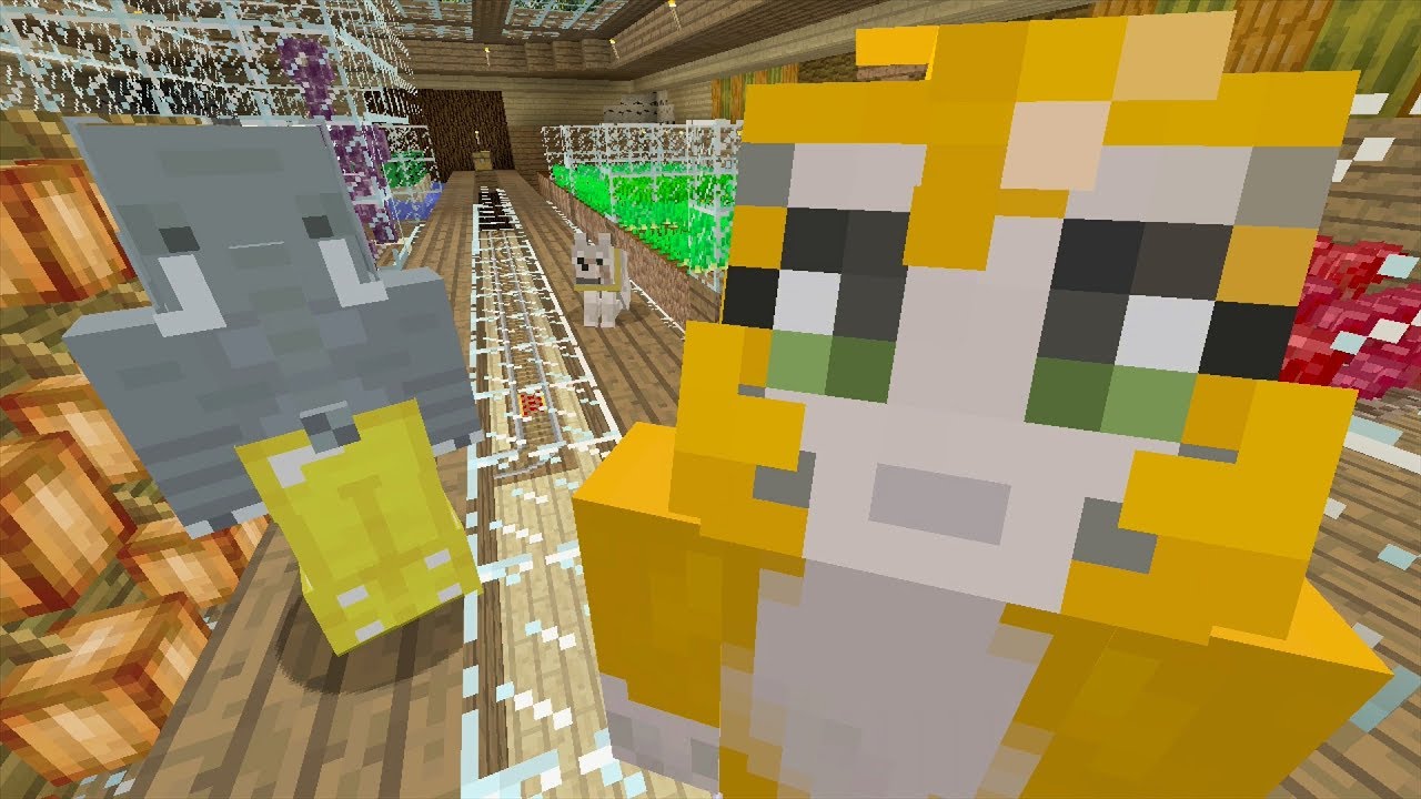 Xasms6dueSE/default.jpg