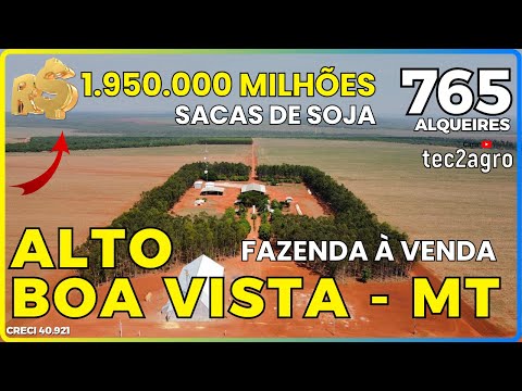🌱 765 ALQUEIRES - ALTO BOA VISTA - FAZENDA À VENDA NO MATO GROSSO [🌱DUPLA APTIDÃO] #agro #fazenda