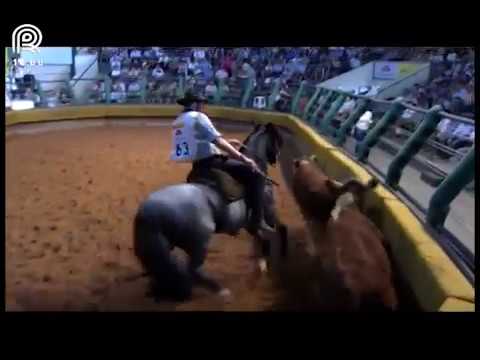 Bocal de Ouro Esteio (RS) – 5° lugar machos – Buenacho da Gema