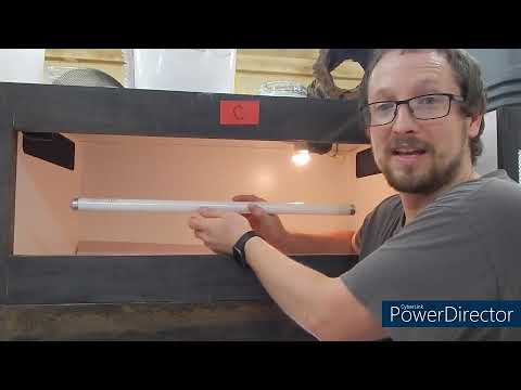 Preparing for Your New Pet Bearded Dragon