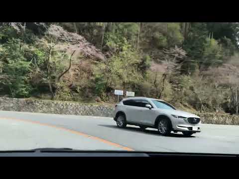 Vídeo do veículo da Rota Nacional 162 de Kyoto do estacionamento turístico Takao 🅿️ até perto do Templo Fukuoji!
