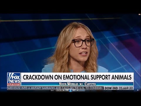 08-17-18 Kat Timpf on Your World with Neil Cavuto - Generation Hexed