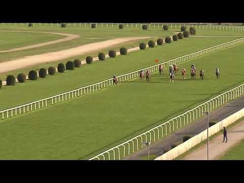 8. dostih - CENA VÁŽNICE - dostihy Velká Chuchle 7. 4. 2019