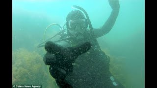Treasure hunting scuba diver uses GoPro to record finds
