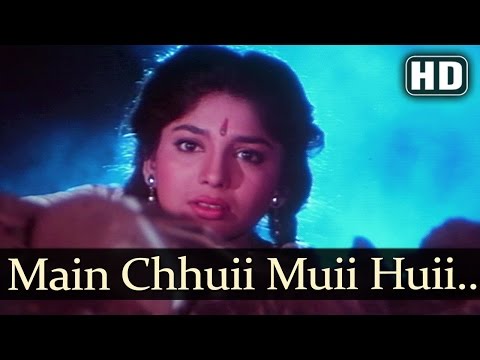 Poster main chhui mui huee