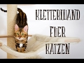 Kletterwand Für Katzen Catwalk For Cats Amely Rose CatWalk