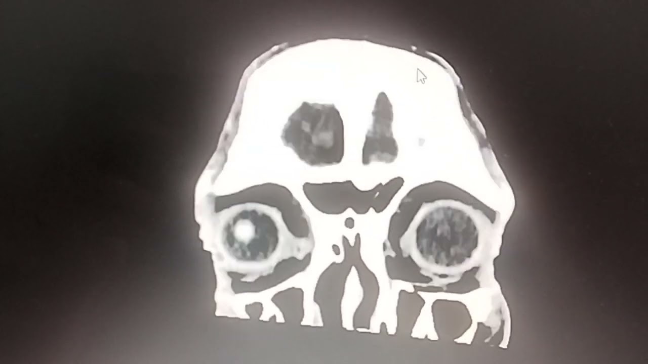 Andrés M. Gutierrez S.-28