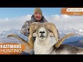 WORLD RECORD Class Marco Polo Ram Guy Eastman Hunting Tajikistan
