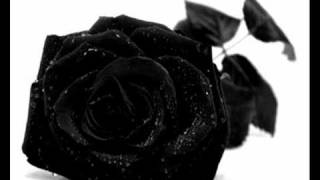 Poisonblack - The Poison I Crave