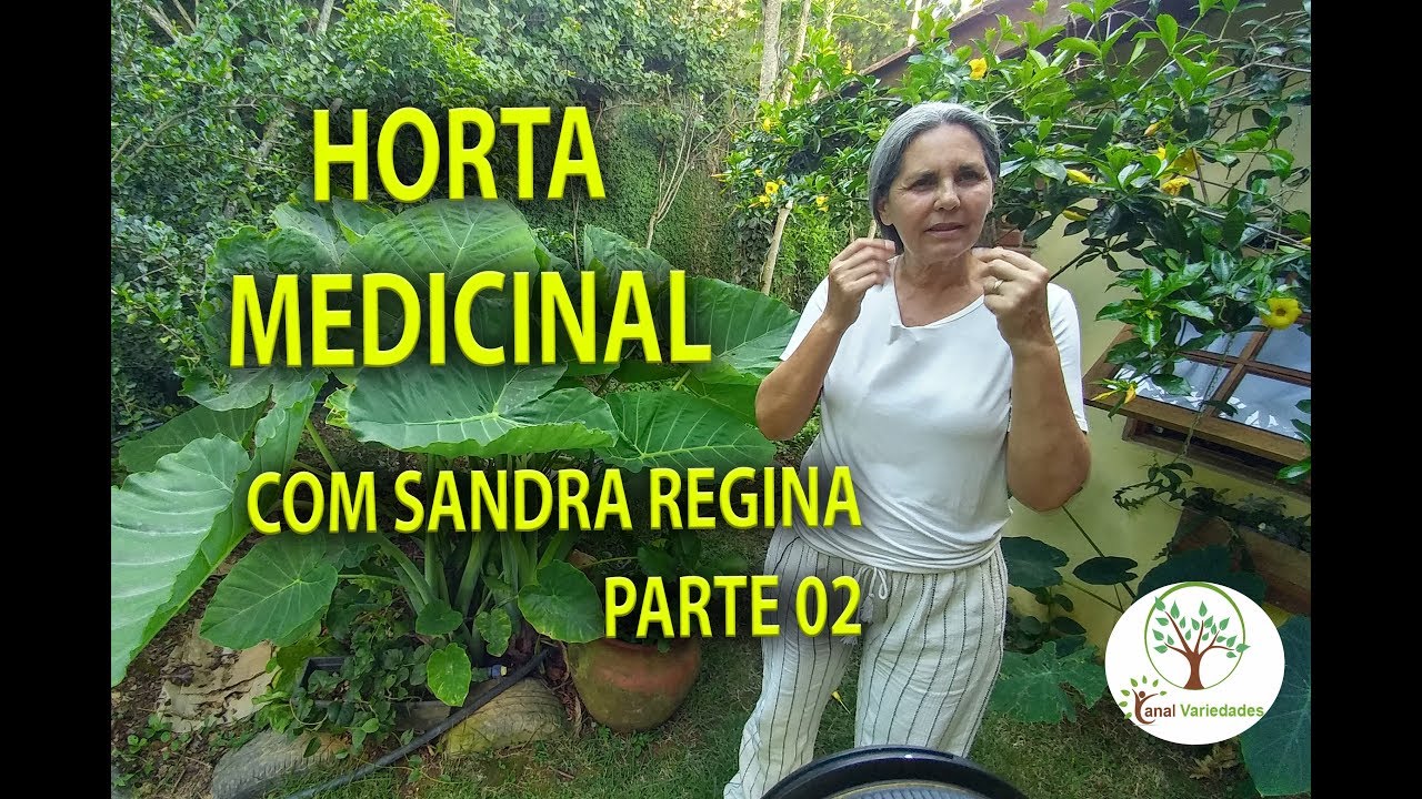 Horta Medicinal para sua Casa, 02 com Sandra Regina