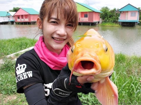 ชื่อ aphrodisiacs สำหรับผู้ชาย จุดบนร่างกายที่ใช้งานเพื่อเพิ่มความแข็งแรง