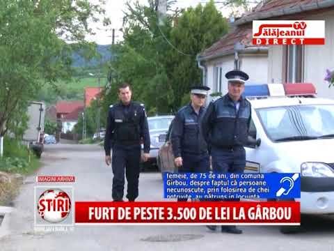 FURT DE PESTE 3500 DE LEI LA GARBOU