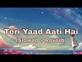 Teri Yaad Aati Hai - Adnan Sami  (Slowed + Reverb)