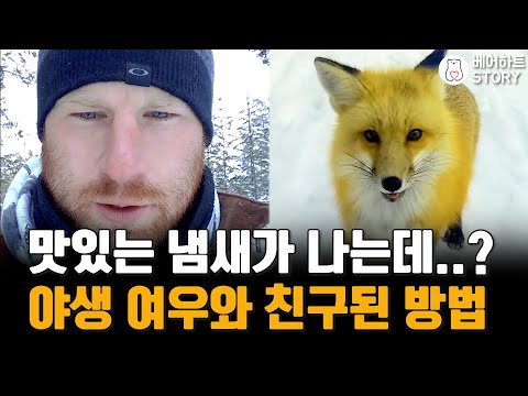 아이콘