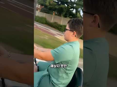 각도에 따라 달라지는 동물의 모습