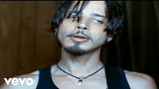 Chris Cornell - Can't Change Me