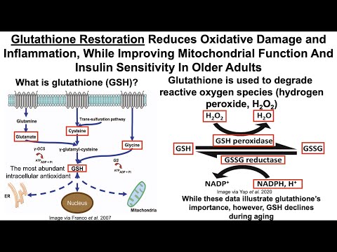Glutathione Restoration Improves Hallmarks Of Aging in Older Adults