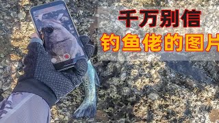 我又被朋友发的鱼获骗来这钓鱼了