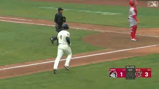 Alex Hall LAUNCHES Back-To-Back Home Runs! | Milwaukee Brewers Prospect | 4/16/2023