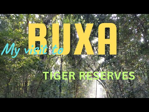 A Day in the Wild! Exploring Buxa Tiger Reserve | Travel Vlog