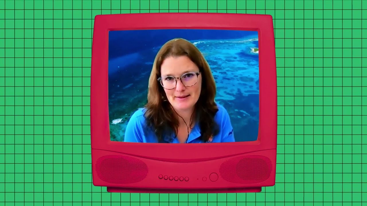 Ep. 3 Coral
