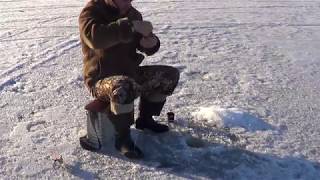 Зимняя рыбалка на озере линево шарыповский район
