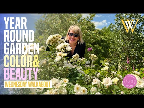 How To Get Year Round Garden Color and Beauty