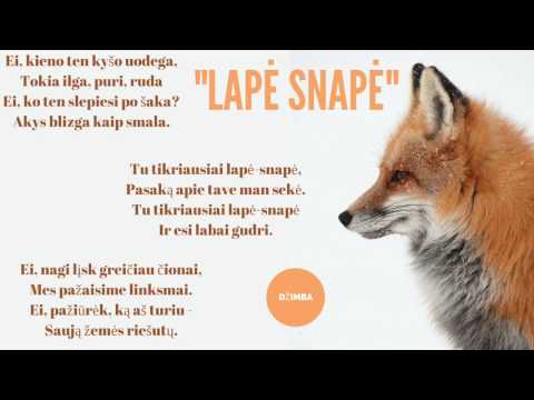 DŽIMBA SU TAJA - Lapė snapė