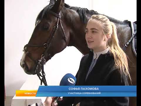 В Курске боролись за Кубок губернатора по конному спорту