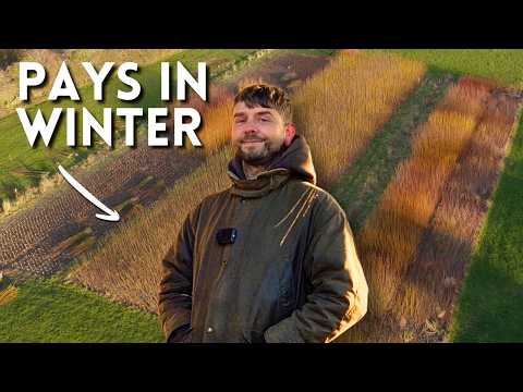 Bloom & Gray - Flower Farm and Lawsons Market Garden