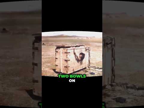 The Mystery of the Woman Kept in a Box🎁🏜️😱 #capitalpunishment #suffering #desert