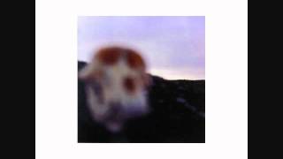 Hedningarna - Grodan Widergrenen