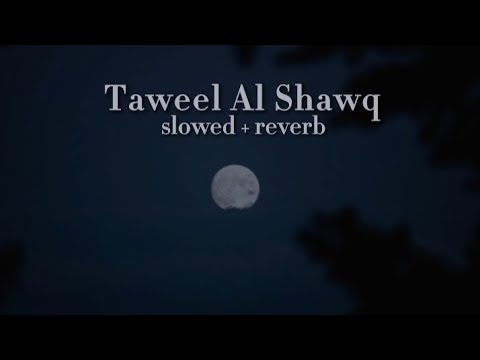 Taweel Al shawq (slowed+reverb) l Muhammad al Muqit