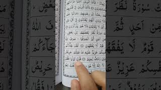 Download lagu surah taubah last 2 ayat by Sheikh Sudais.  #quran#love #sheikhsudais#islam#jannah #quranicreminder# mp3