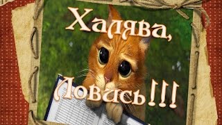 Как поймать удачу перед экзаменом