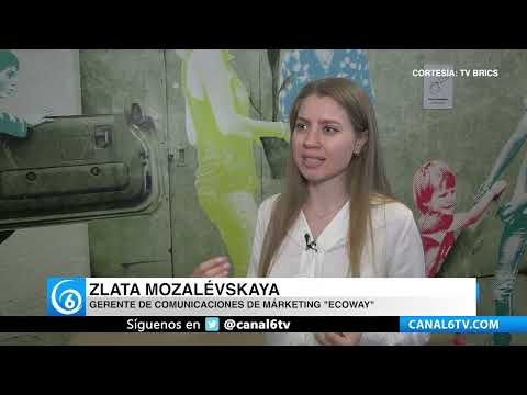 Científicos desarrollan biocombustible para aviones a partir de aceite de cocina usado