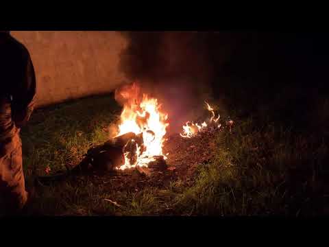 10.19.2018 carpet cleaner