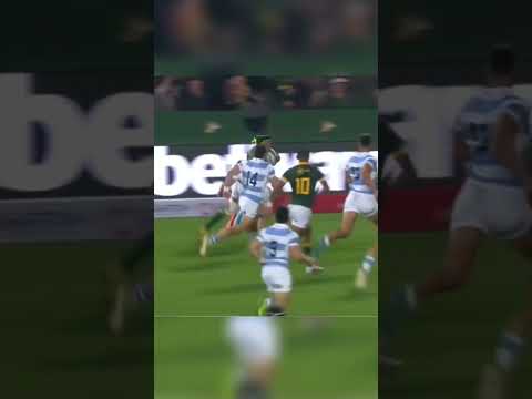 This is SpringBok Rugby #rugby #springboks