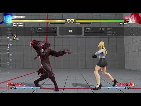 SFV CE Kolin anti-VS2