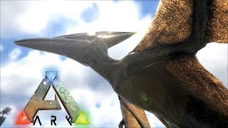 島で 飛行速度最速プテラノドンをテイム Ark Survival Evolved Season3part49 最高画質 公式pve تحميل اغاني مجانا 島で 飛行速度最速プテラノドンをテイム Ark Survival Evolved Season3part49 最高画質 公式pve تحميل اغاني مجانا