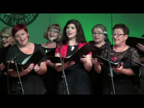 Solzice - Dom (v živo)