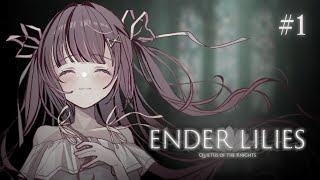 enter hime - May the lilies bloom for me.【Ender Lilies #1】
