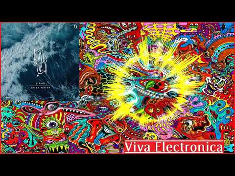 SIAAH - Blastomussa (Original Mix) [Techno Tehran Records]