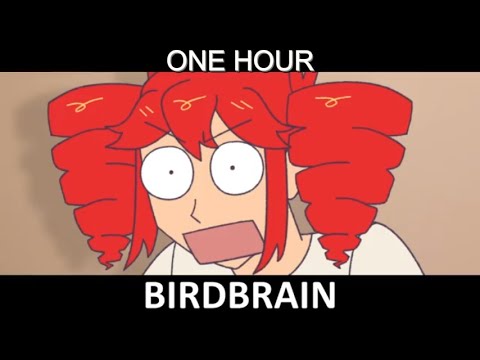 BIRDBRAIN [1 HOUR LOOP]
