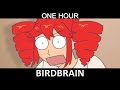 BIRDBRAIN 1 HOUR LOOP