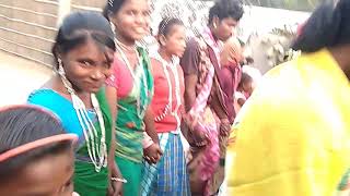 New Santali Sohray video 2019 Kajri Sohray Sorsh P