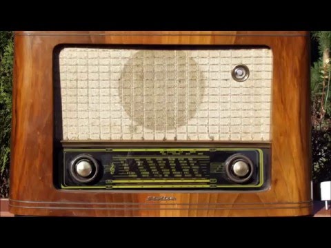 Mike Danis & Juventa vs. DJ Shog - For You Through The Radio (Myon & Shane 54 Mashup)