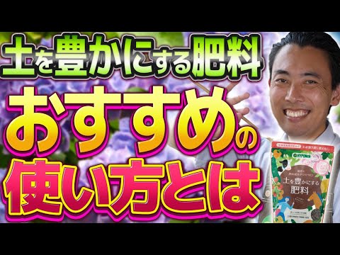 thuja を肥料にする: この方法で生垣に最適な肥料が供給されます。 植物